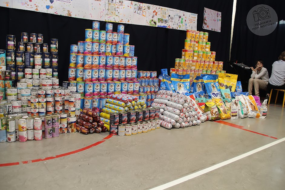 Ikona do artykułu: Zbiórka dla schroniska w Nowym Dworze Mazowieckim.